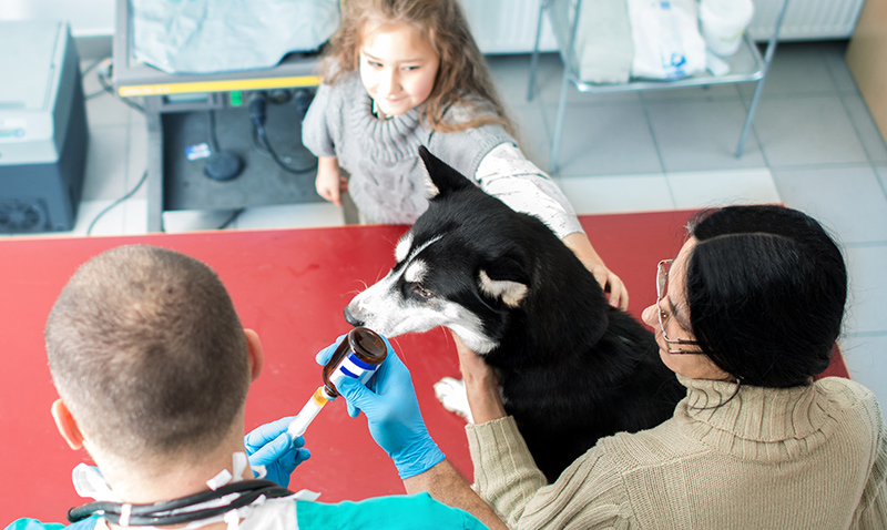 Veterinärmedicin-Trotec